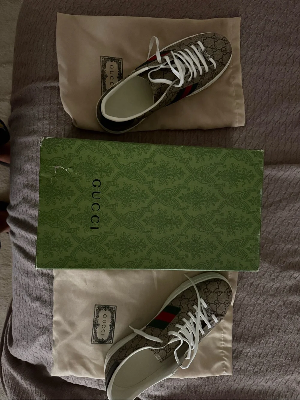 Gucci Brown GG Canvas Sneaker with White Laces and Green-Red Web